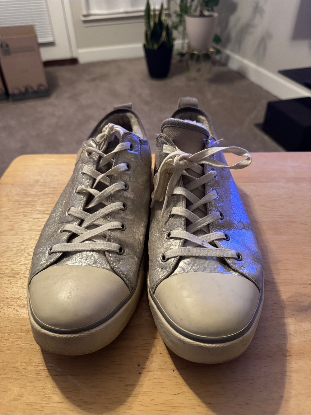 UGG Metallic Silver Low-Top Lace-Up Sneakers
